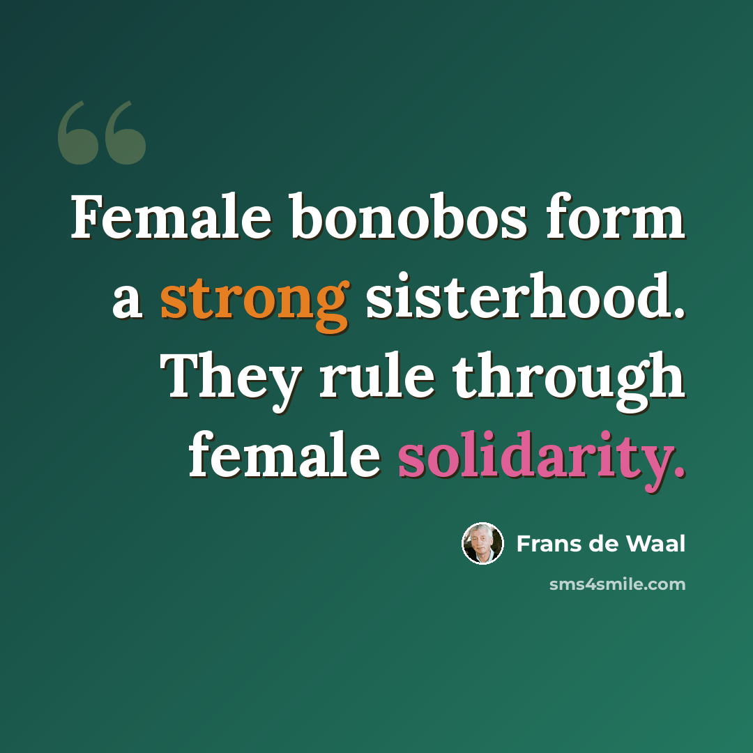 “Female bonobos form a strong sisterhood. They rule through female solidarity.” quote by Frans de Waal