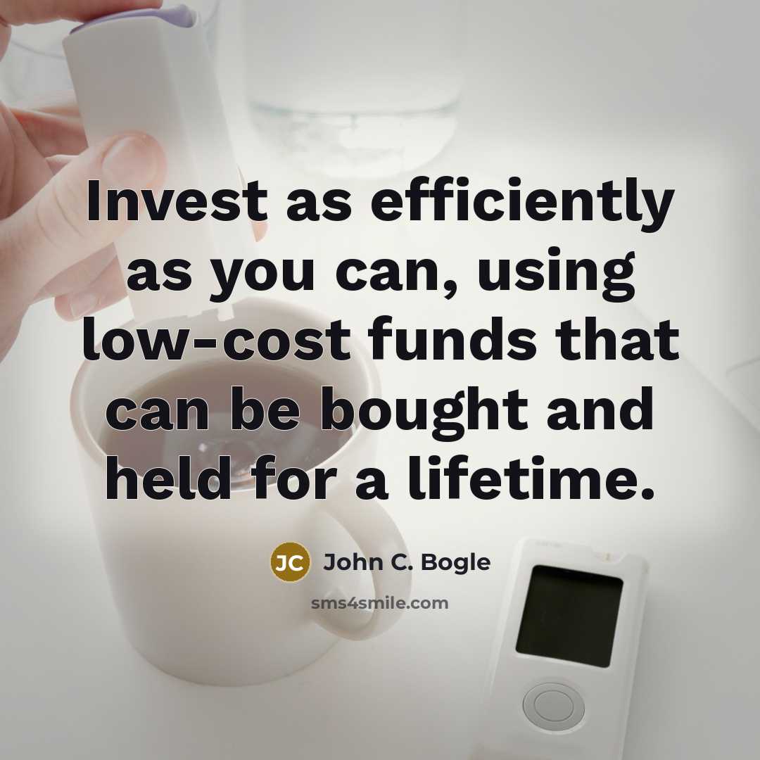 “Invest as efficiently as you can, using low-cost funds that can be bought and held for a lifetime.” quote by John C. Bogle