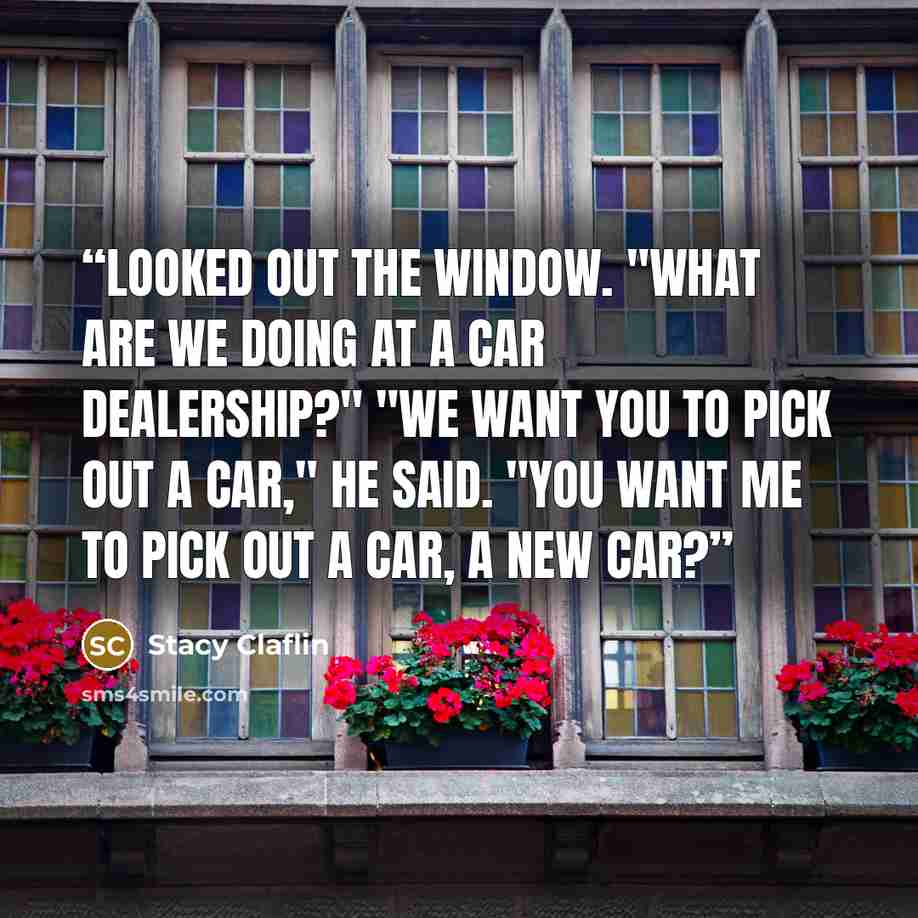 “looked out the window. "What are we doing at a car dealership?" "We want you to pick out a car," he said. "You want me to pick out a car, a new car?” quote by Stacy Claflin