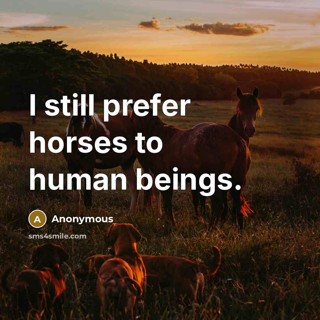 “I still prefer horses to human beings.” quote by Anonymous