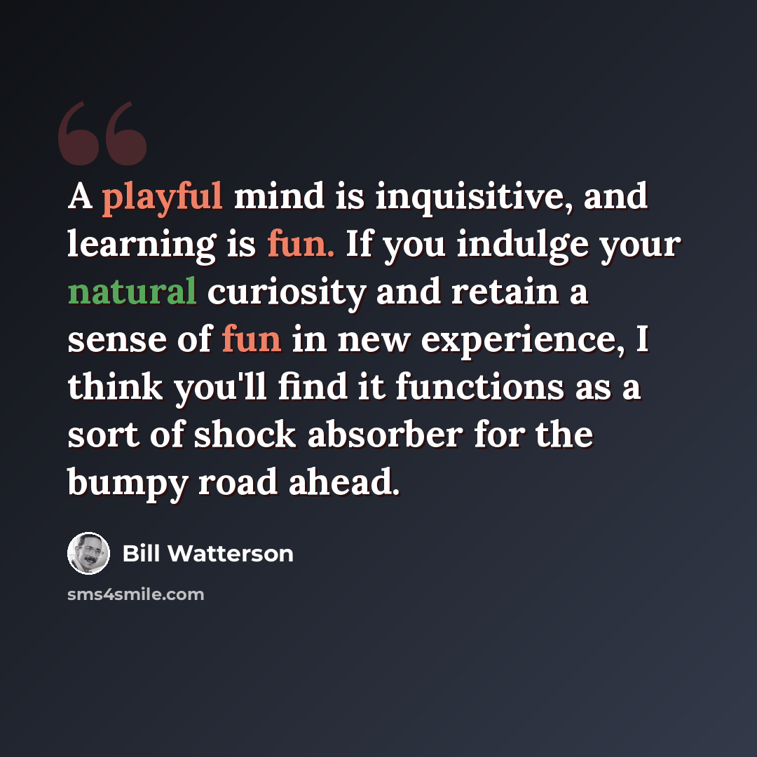 “A playful mind is inquisitive, and learning is fun. If you indulge your natural curiosity and retain a sense of fun in new experience, I think you'll find it functions as a sort of shock absorber for the bumpy road ahead.” quote by Bill Watterson