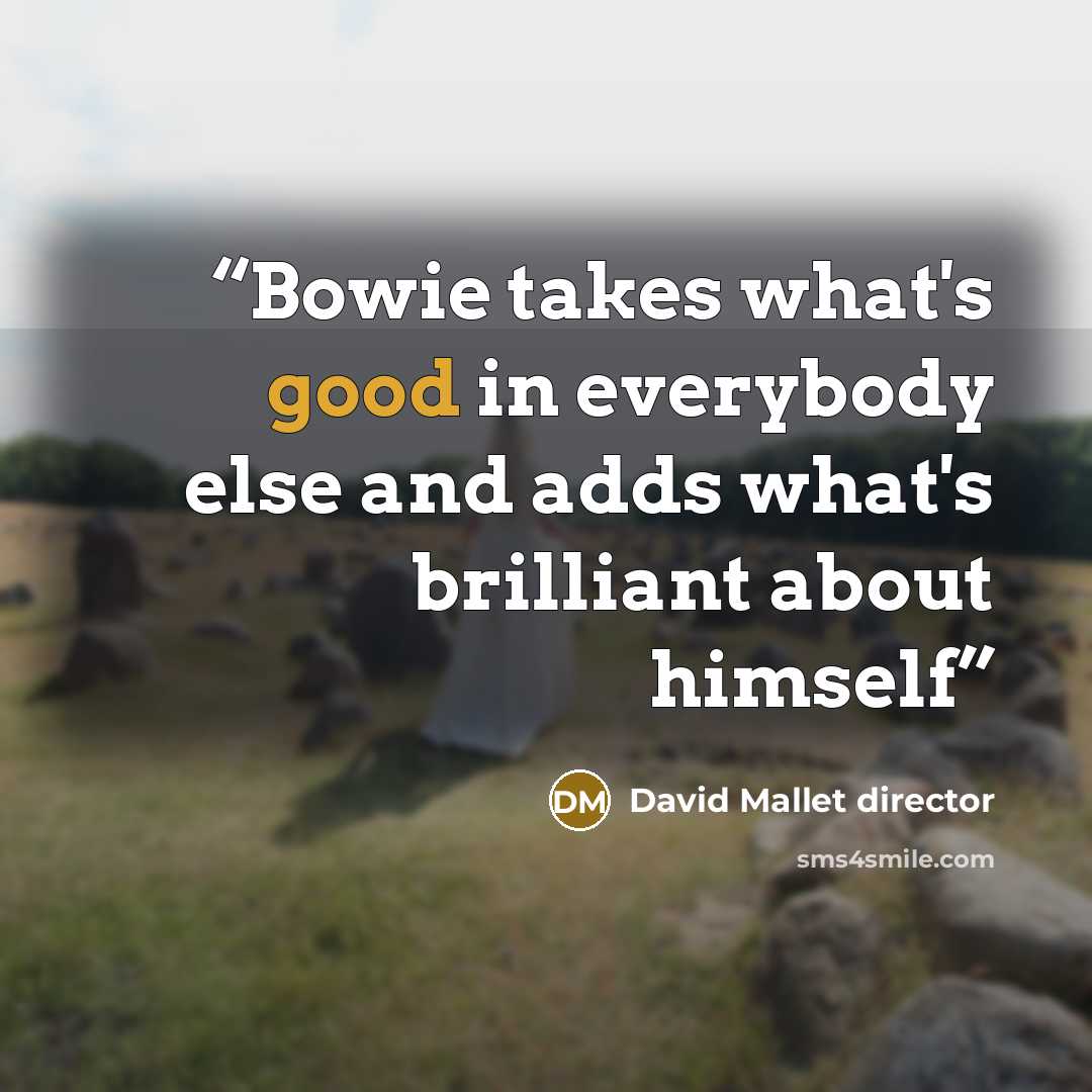 “Bowie takes what's good in everybody else and adds what's brilliant about himself” quote by David Mallet director