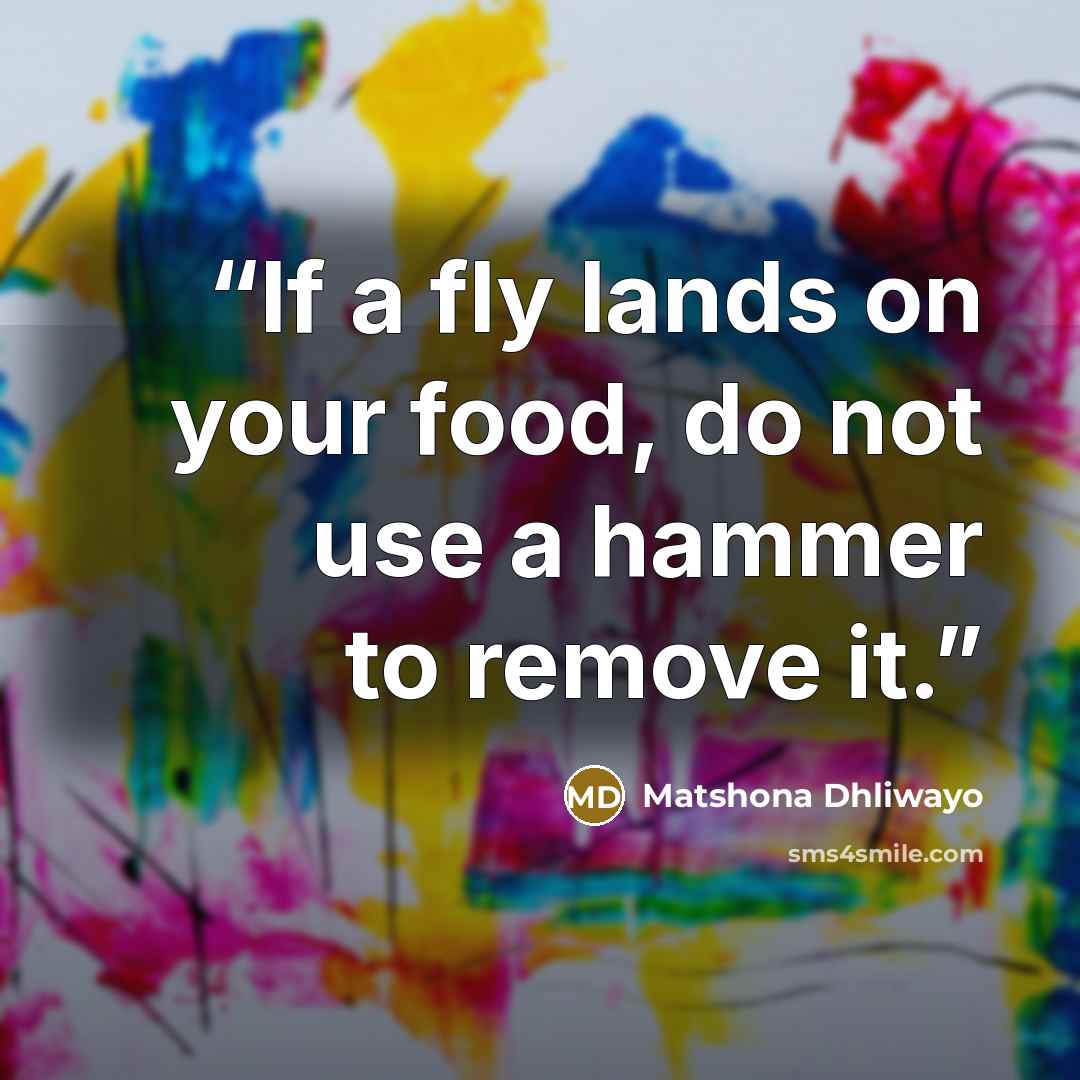 “If a fly lands on your food, do not use a hammer to remove it.” quote by Matshona Dhliwayo