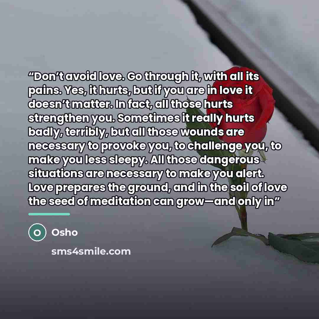 “Don’t avoid love. Go through it, with all its pains. Yes, it hurts, but if you are in love it doesn’t matter. In fact, all those hurts strengthen you. Sometimes it really hurts badly, terribly, but all those wounds are necessary to provoke you, to challenge you, to make you less sleepy. All those…” quote by Osho