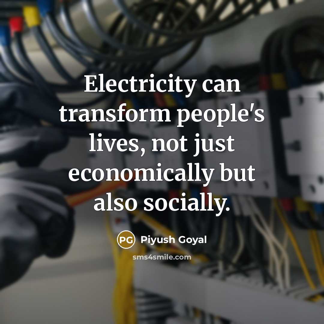 “Electricity can transform people's lives, not just economically but also socially.” quote by Piyush Goyal