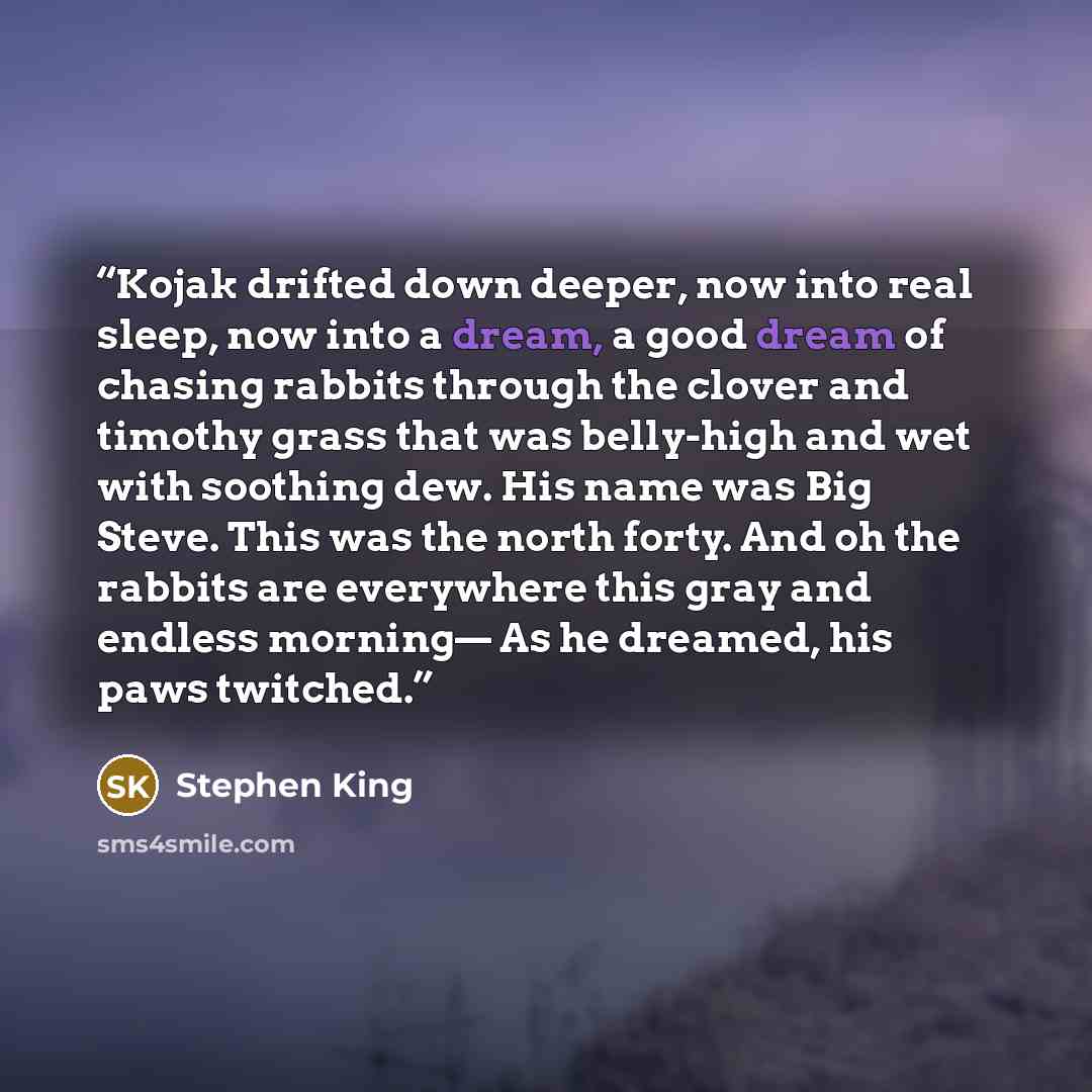“Kojak drifted down deeper, now into real sleep, now into a dream, a good dream of chasing rabbits through the clover and timothy grass that was belly-high and wet with soothing dew. His name was Big Steve. This was the north forty. And oh the rabbits are everywhere this gray and endless morning…” quote by Stephen King