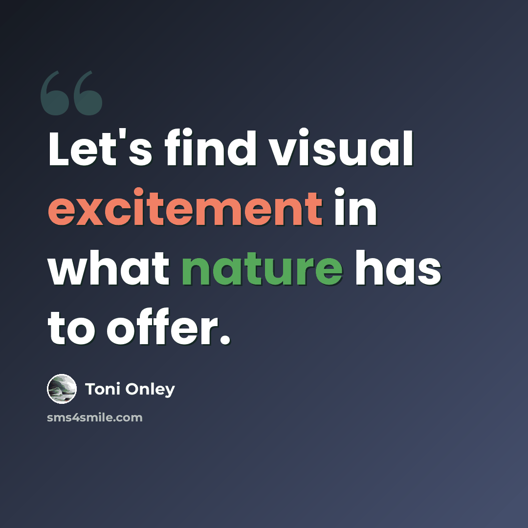“Let's find visual excitement in what nature has to offer.” quote by Toni Onley