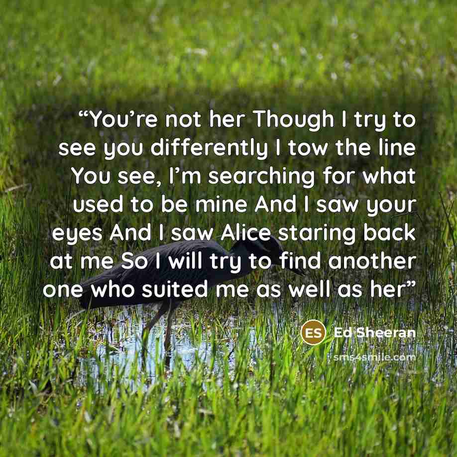 “You’re not her Though I try to see you differently I tow the line You see, I’m searching for what used to be mine And I saw your eyes And I saw Alice staring back at me So I will try to find another one who suited me as well as her” quote by Ed Sheeran