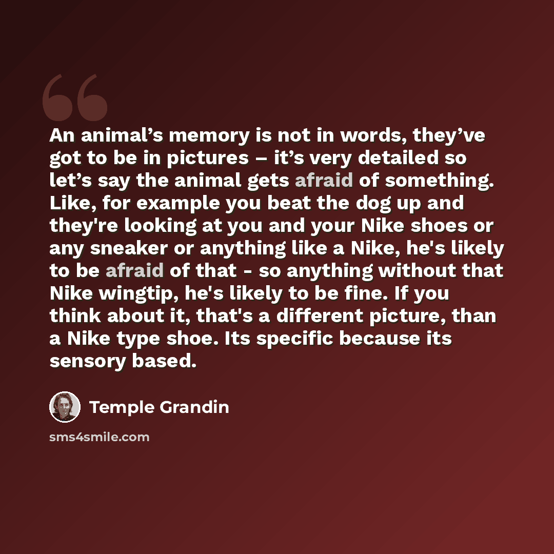 “An animal’s memory is not in words, they’ve got to be in pictures – it’s very detailed so let’s say the animal gets afraid of something. Like, for example you beat the dog up and they're looking at you and your Nike shoes or any sneaker or anything like a Nike, he's likely to be afraid of that…” quote by Temple Grandin