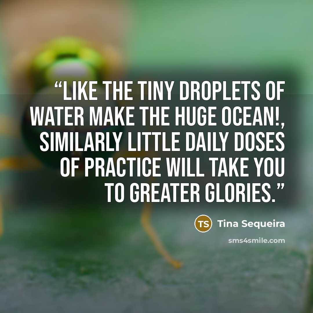 “Like the tiny droplets of water make the huge ocean!, similarly little daily doses of practice will take you to greater glories.” quote by Tina Sequeira