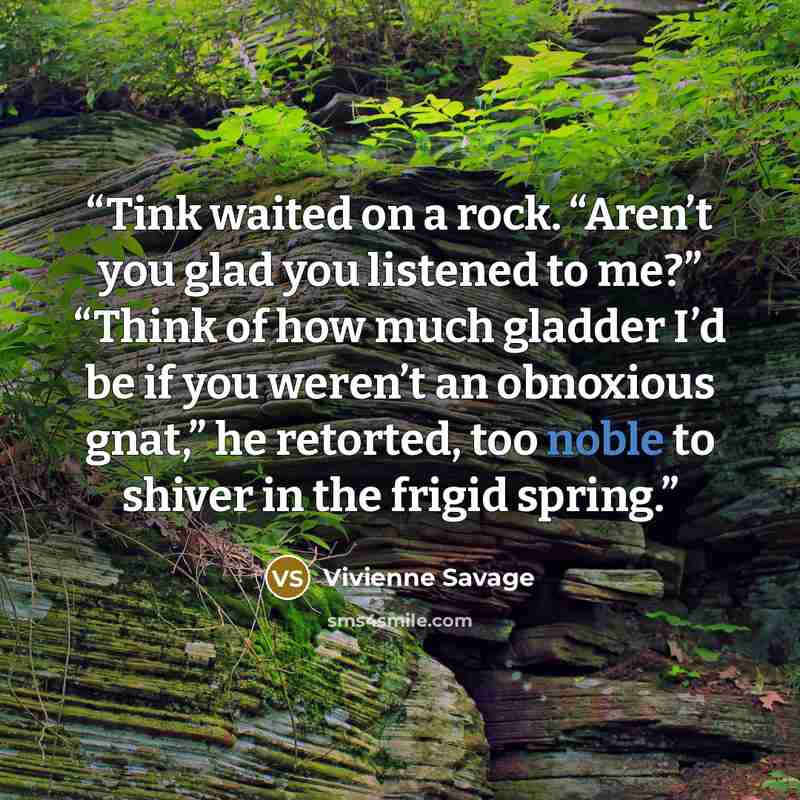 “Tink waited on a rock. “Aren’t you glad you listened to me?” “Think of how much gladder I’d be if you weren’t an obnoxious gnat,” he retorted, too noble to shiver in the frigid spring.” quote by Vivienne Savage