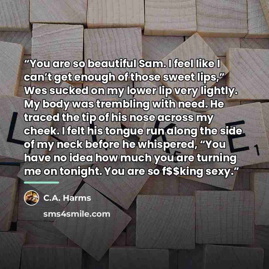 “You are so beautiful Sam. I feel like I can’t get enough of those sweet lips,” Wes sucked on my lower lip very lightly. My body was trembling with need. He traced the tip of his nose across my cheek. I felt his tongue run along the side of my neck before he whispered, “You have no idea how much…” quote by C.A. Harms
