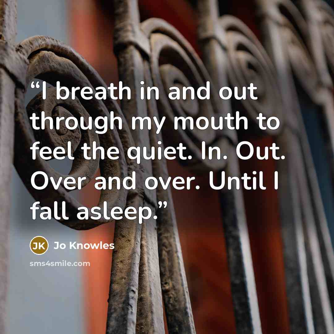 “I breath in and out through my mouth to feel the quiet. In. Out. Over and over. Until I fall asleep.” quote by Jo Knowles