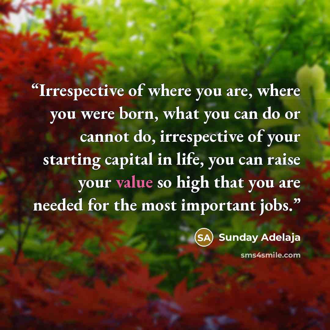 “Irrespective of where you are, where you were born, what you can do or cannot do, irrespective of your starting capital in life, you can raise your value so high that you are needed for the most important jobs.” quote by Sunday Adelaja