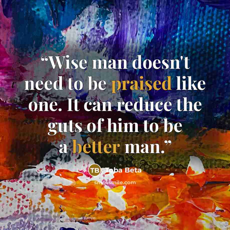 “Wise man doesn't need to be praised like one. It can reduce the guts of him to be a better man.” quote by Toba Beta