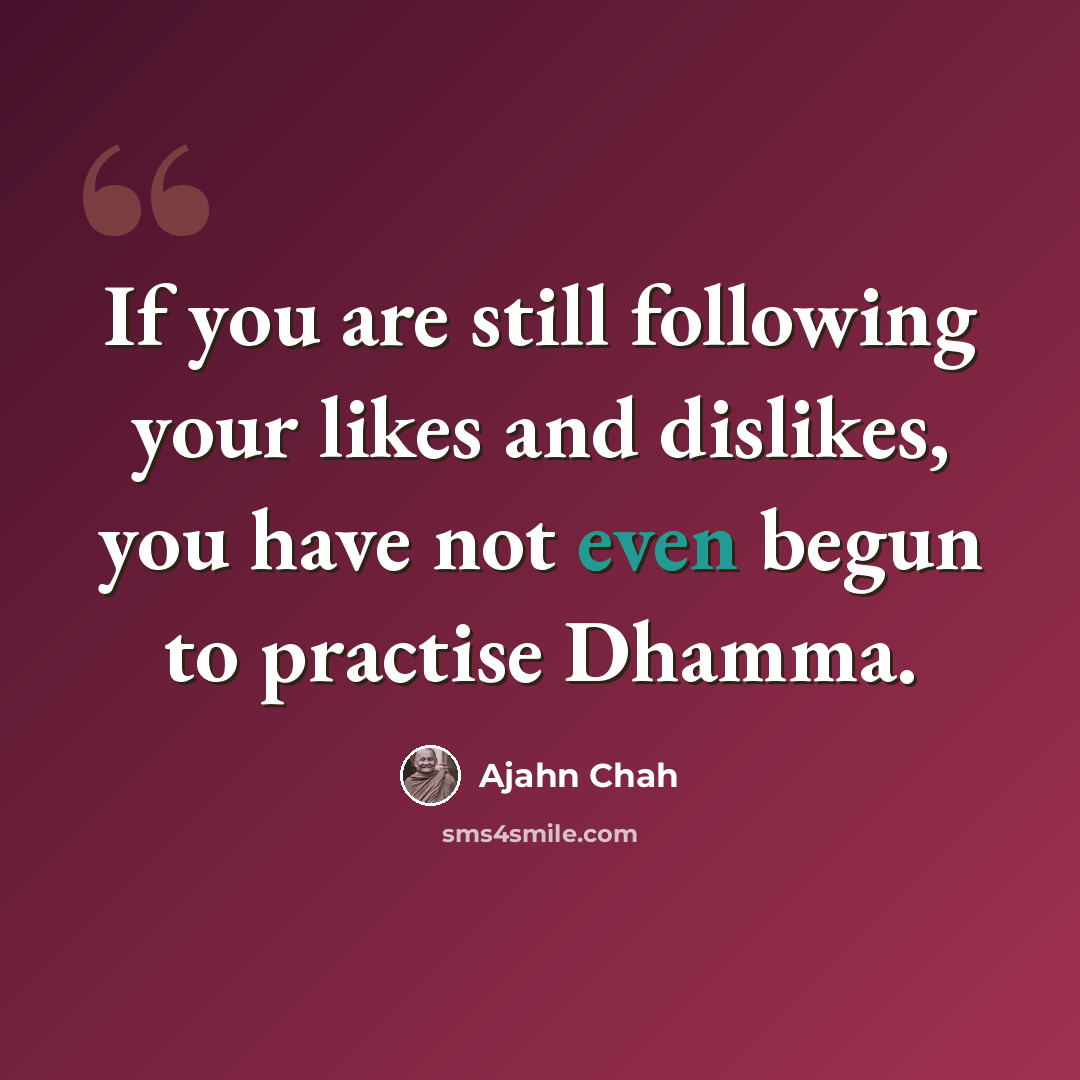 “If you are still following your likes and dislikes, you have not even begun to practise Dhamma.” quote by Ajahn Chah