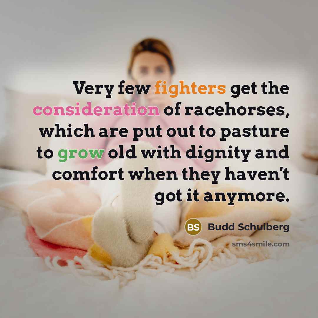 “Very few fighters get the consideration of racehorses, which are put out to pasture to grow old with dignity and comfort when they haven't got it anymore.” quote by Budd Schulberg