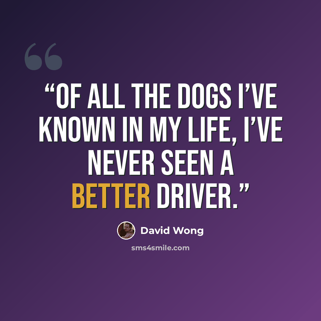 “Of all the dogs I’ve known in my life, I’ve never seen a better driver.” quote by David Wong