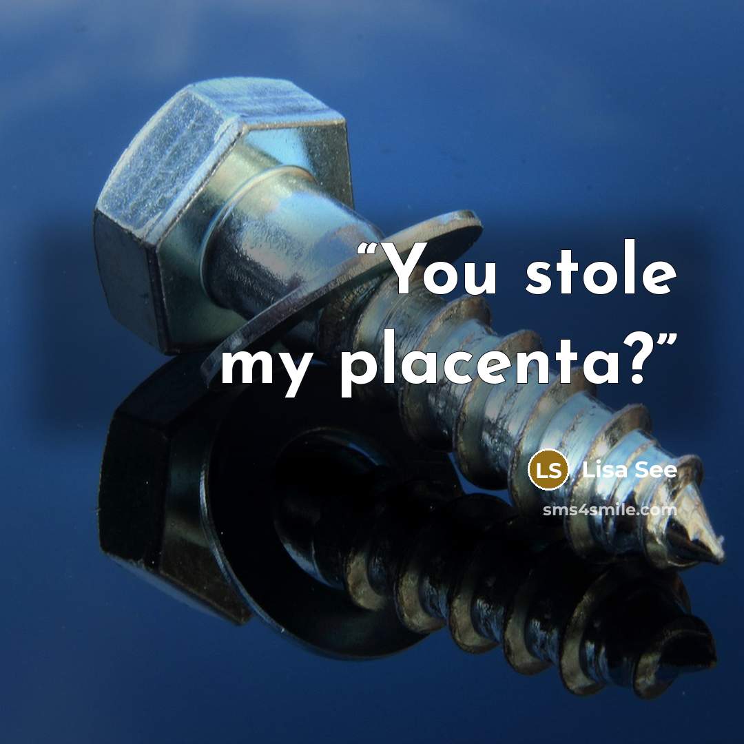 “You stole my placenta?” quote by Lisa See