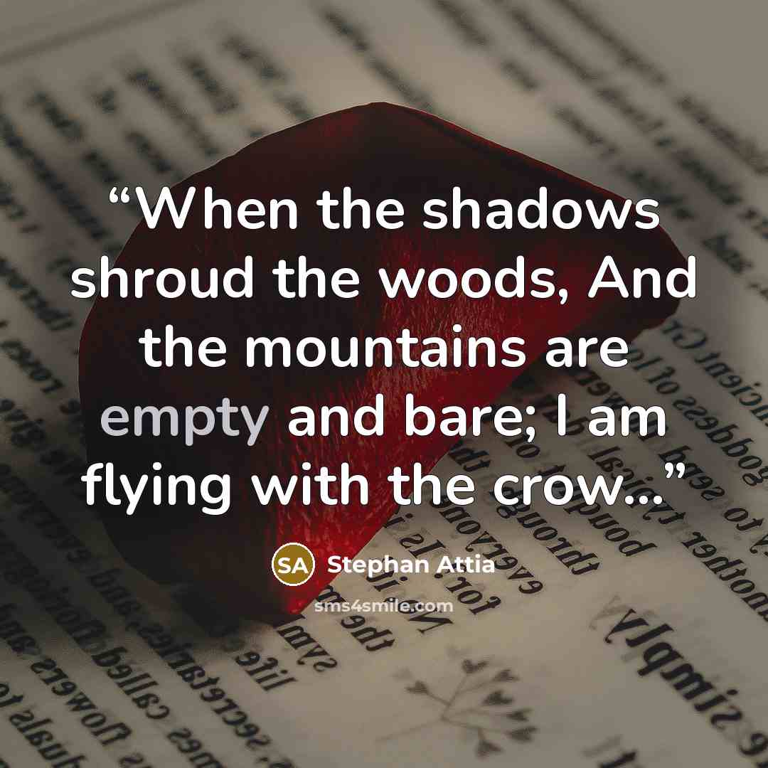“When the shadows shroud the woods, And the mountains are empty and bare; I am flying with the crow...” quote by Stephan Attia