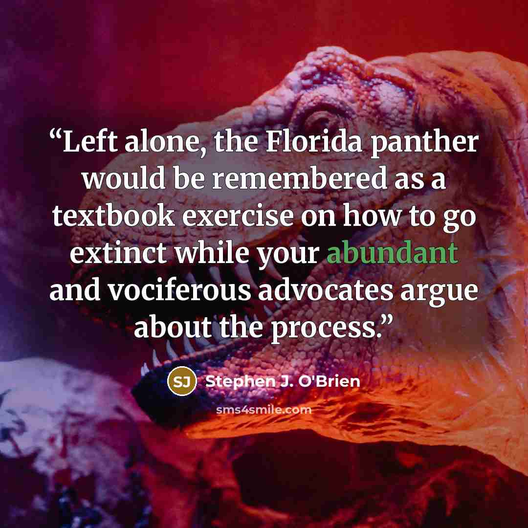 “Left alone, the Florida panther would be remembered as a textbook exercise on how to go extinct while your abundant and vociferous advocates argue about the process.” quote by Stephen J. O'Brien