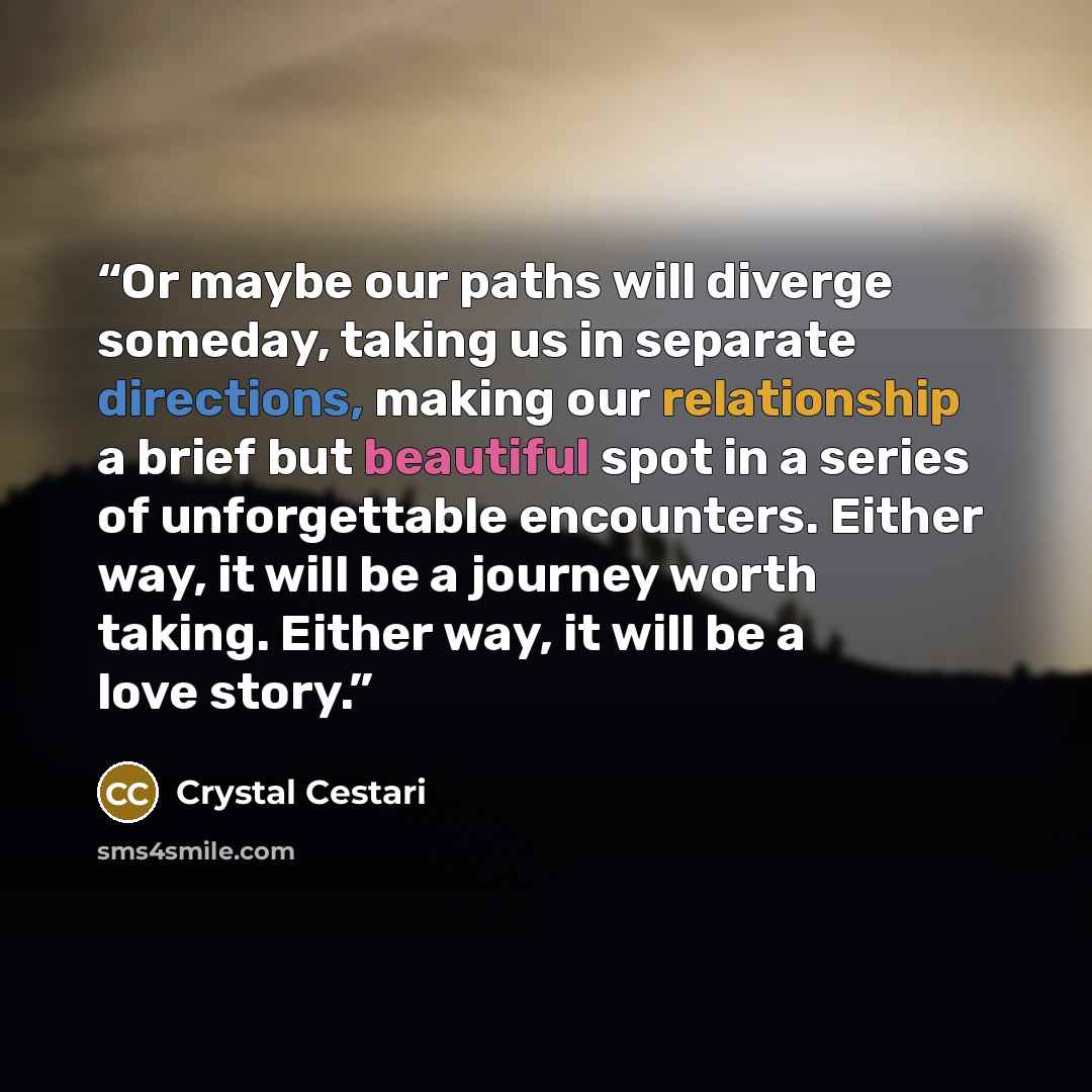 “Or maybe our paths will diverge someday, taking us in separate directions, making our relationship a brief but beautiful spot in a series of unforgettable encounters. Either way, it will be a journey worth taking. Either way, it will be a love story.” quote by Crystal Cestari