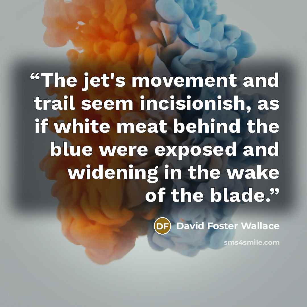 “The jet's movement and trail seem incisionish, as if white meat behind the blue were exposed and widening in the wake of the blade.” quote by David Foster Wallace