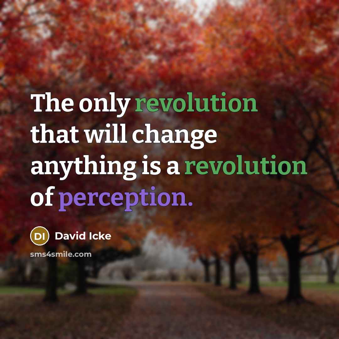“The only revolution that will change anything is a revolution of perception.” quote by David Icke