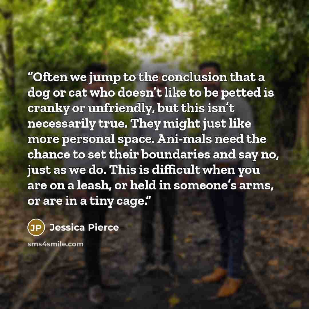 “Often we jump to the conclusion that a dog or cat who doesn’t like to be petted is cranky or unfriendly, but this isn’t necessarily true. They might just like more personal space. Ani-mals need the chance to set their boundaries and say no, just as we do. This is difficult when you are on a leash…” quote by Jessica Pierce