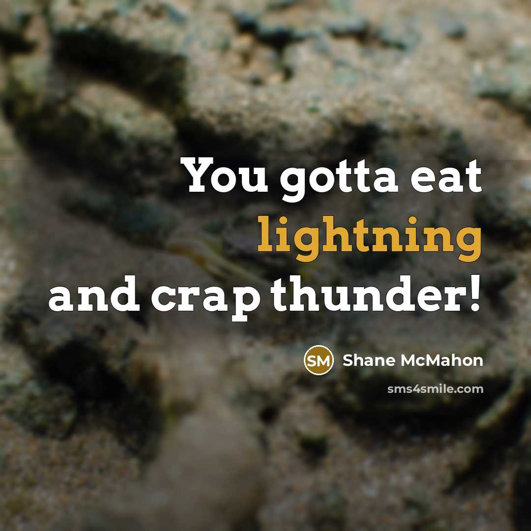 “You gotta eat lightning and crap thunder!” quote by Shane McMahon