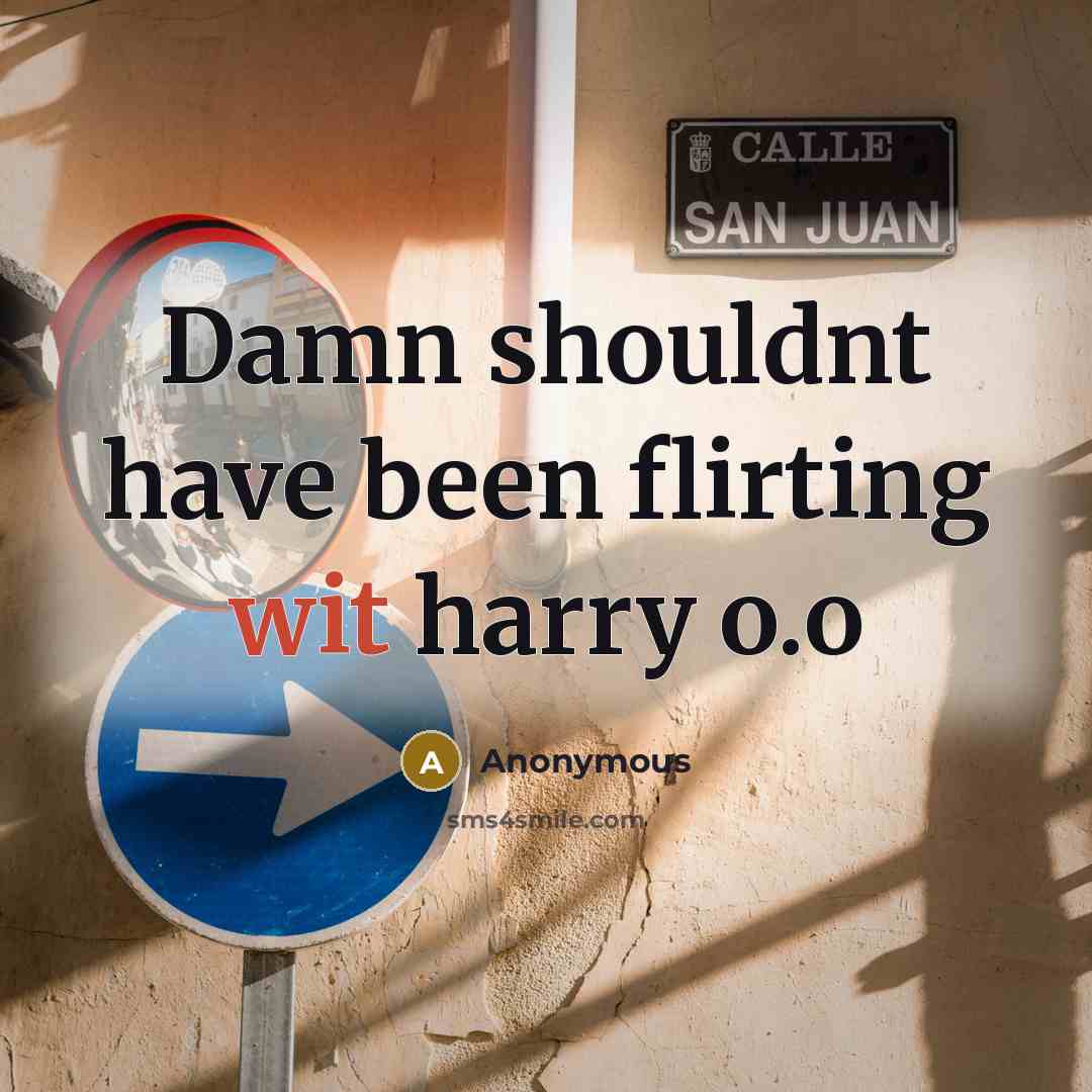 “Damn shouldnt have been flirting wit harry o.o” quote by Anonymous