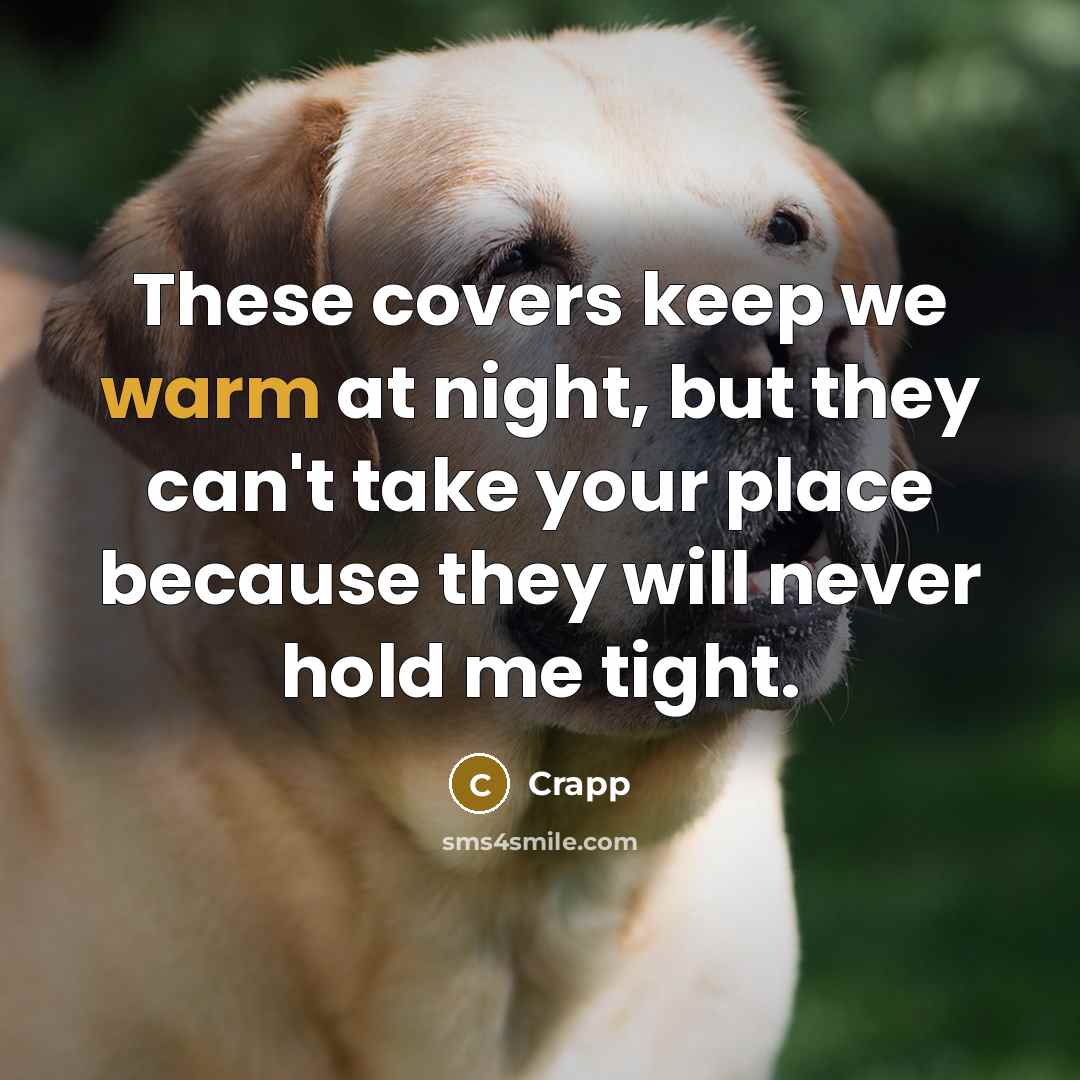“These covers keep we warm at night, but they can't take your place because they will never hold me tight.” quote by Crapp