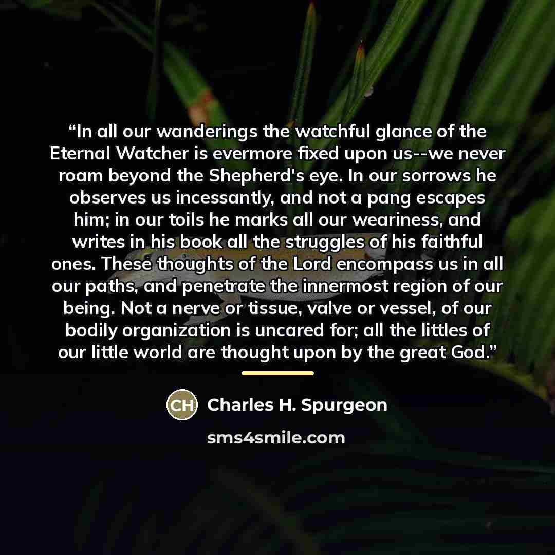 “In all our wanderings the watchful glance of the Eternal Watcher is evermore fixed upon us--we never roam beyond the Shepherd's eye. In our sorrows he observes us incessantly, and not a pang escapes him; in our toils he marks all our weariness, and writes in his book all the struggles of his…” quote by Charles H. Spurgeon