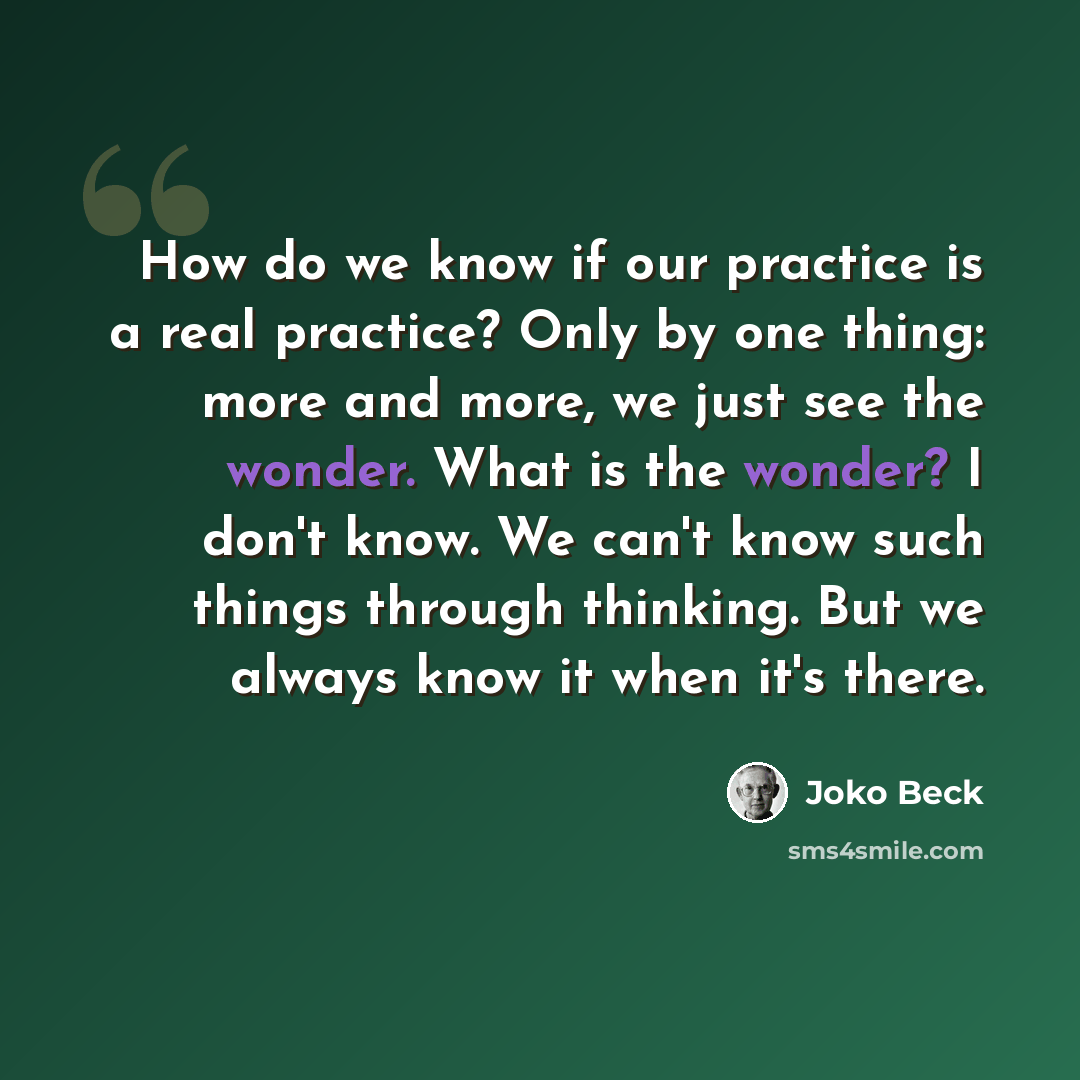 “How do we know if our practice is a real practice? Only by one thing: more and more, we just see the wonder. What is the wonder? I don't know. We can't know such things through thinking. But we always know it when it's there.” quote by Joko Beck