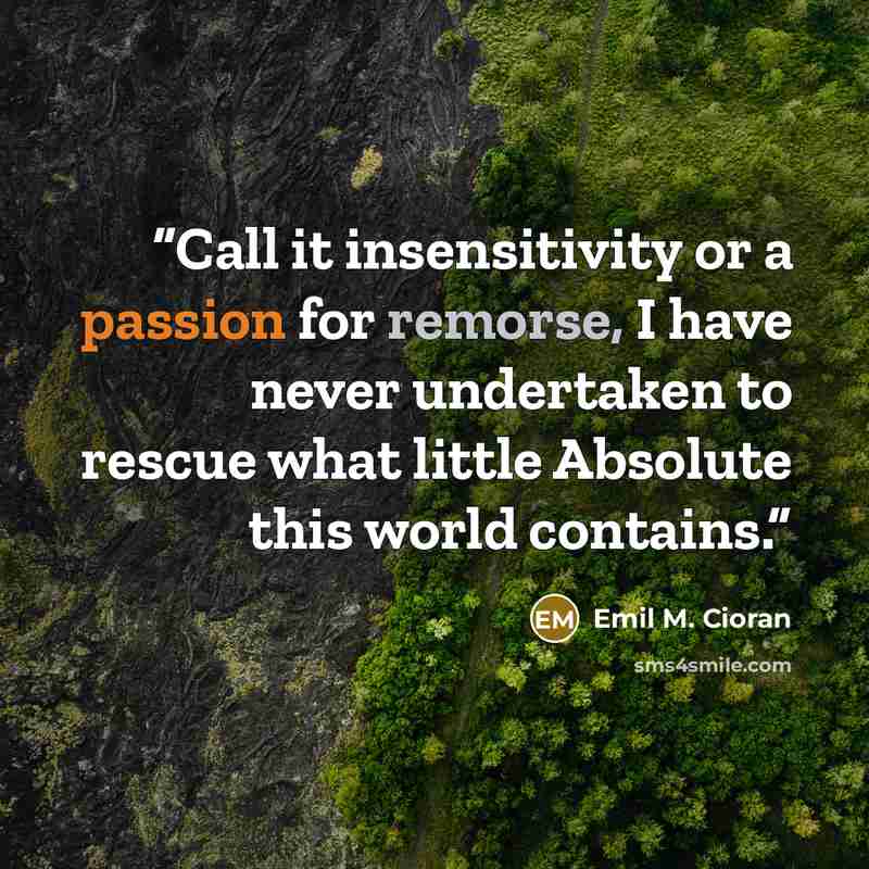 “Call it insensitivity or a passion for remorse, I have never undertaken to rescue what little Absolute this world contains.” quote by Emil M. Cioran