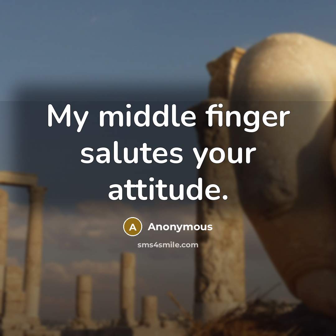 “My middle finger salutes your attitude.” quote by Anonymous