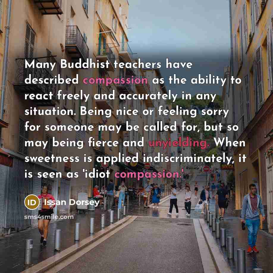 “Many Buddhist teachers have described compassion as the ability to react freely and accurately in any situation. Being nice or feeling sorry for someone may be called for, but so may being fierce and unyielding. When sweetness is applied indiscriminately, it is seen as 'idiot compassion.'” quote by Issan Dorsey