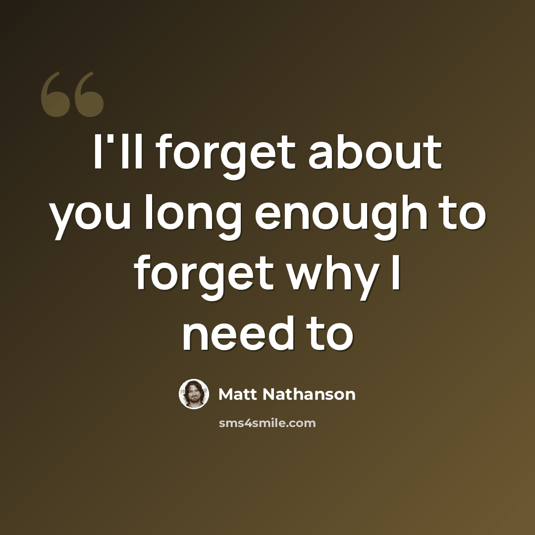 “I'll forget about you long enough to forget why I need to” quote by Matt Nathanson