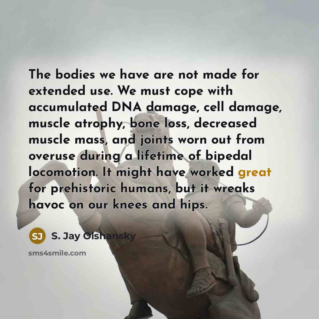 “The bodies we have are not made for extended use. We must cope with accumulated DNA damage, cell damage, muscle atrophy, bone loss, decreased muscle mass, and joints worn out from overuse during a lifetime of bipedal locomotion. It might have worked great for prehistoric humans, but it wreaks…” quote by S. Jay Olshansky
