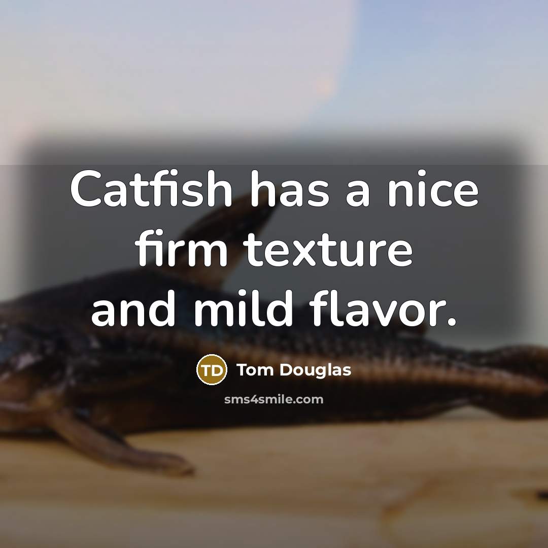 “Catfish has a nice firm texture and mild flavor.” quote by Tom Douglas