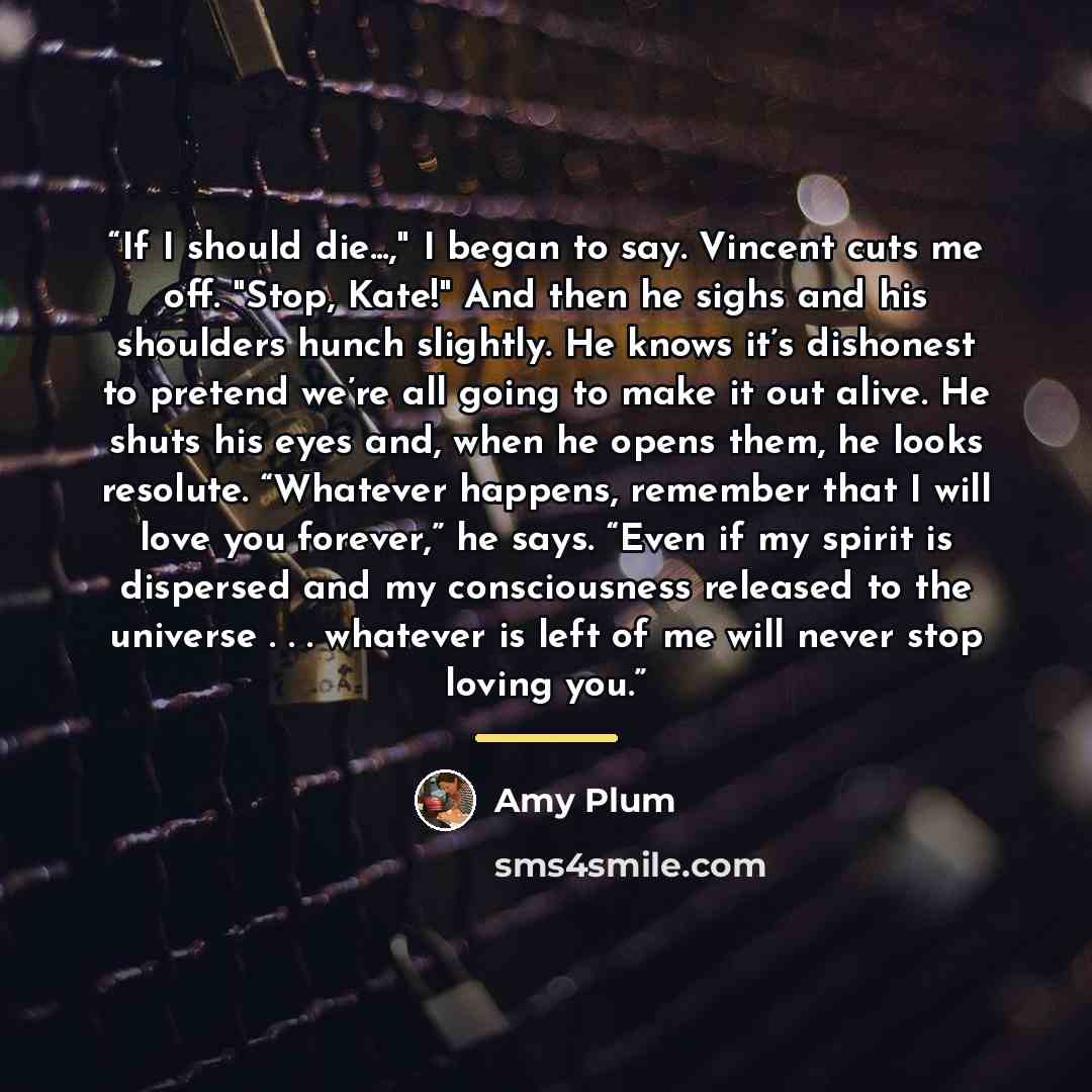 “If I should die...," I began to say. Vincent cuts me off. "Stop, Kate!" And then he sighs and his shoulders hunch slightly. He knows it’s dishonest to pretend we’re all going to make it out alive. He shuts his eyes and, when he opens them, he looks resolute. “Whatever happens, remember that I will…” quote by Amy Plum