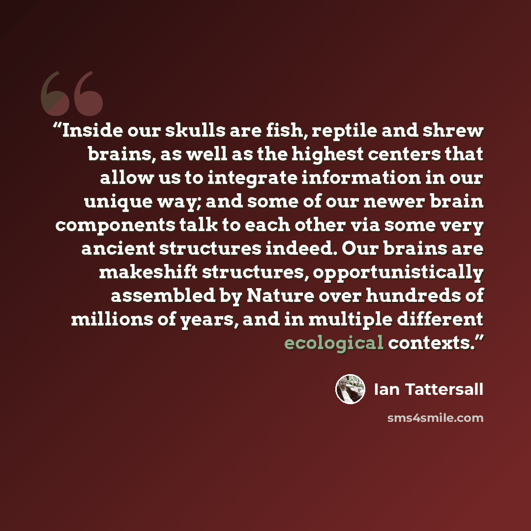“Inside our skulls are fish, reptile and shrew brains, as well as the highest centers that allow us to integrate information in our unique way; and some of our newer brain components talk to each other via some very ancient structures indeed. Our brains are makeshift structures, opportunistically…” quote by Ian Tattersall