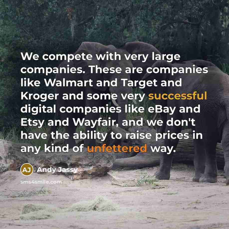 “We compete with very large companies. These are companies like Walmart and Target and Kroger and some very successful digital companies like eBay and Etsy and Wayfair, and we don't have the ability to raise prices in any kind of unfettered way.” quote by Andy Jassy