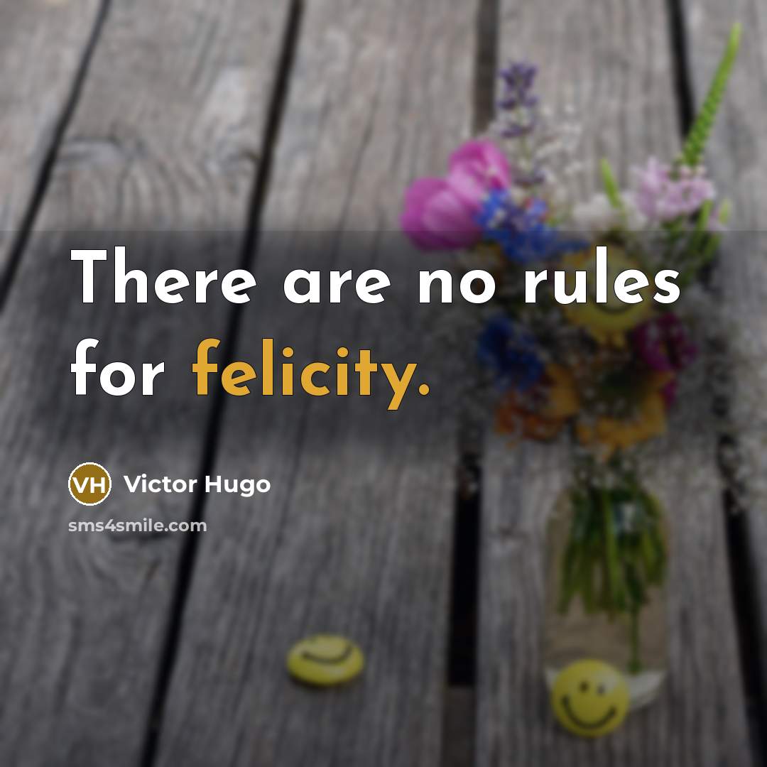 “There are no rules for felicity.” quote by Victor Hugo