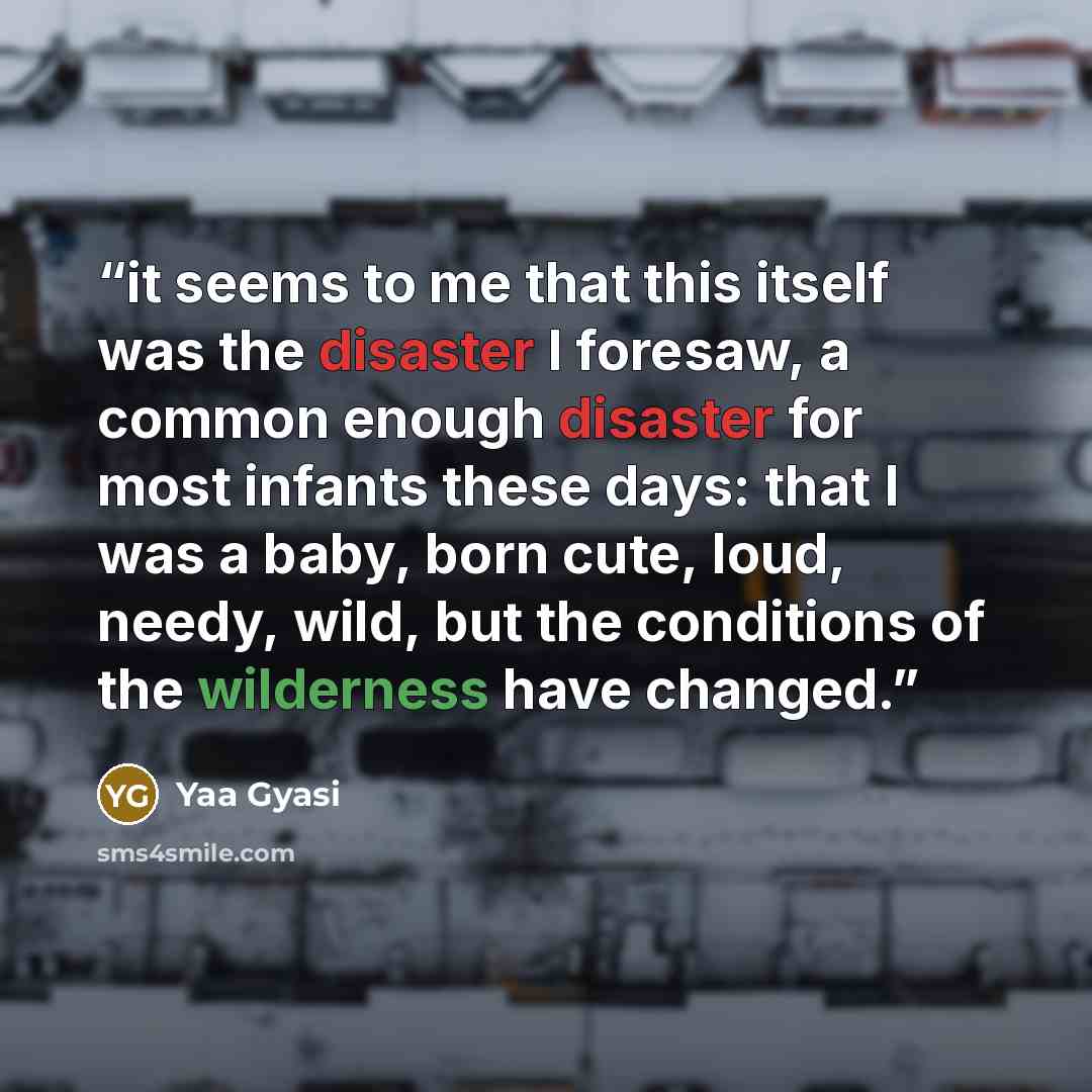 “it seems to me that this itself was the disaster I foresaw, a common enough disaster for most infants these days: that I was a baby, born cute, loud, needy, wild, but the conditions of the wilderness have changed.” quote by Yaa Gyasi