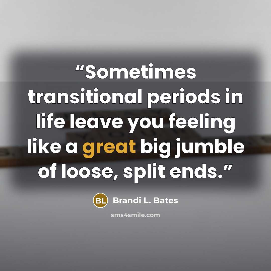 “Sometimes transitional periods in life leave you feeling like a great big jumble of loose, split ends.” quote by Brandi L. Bates