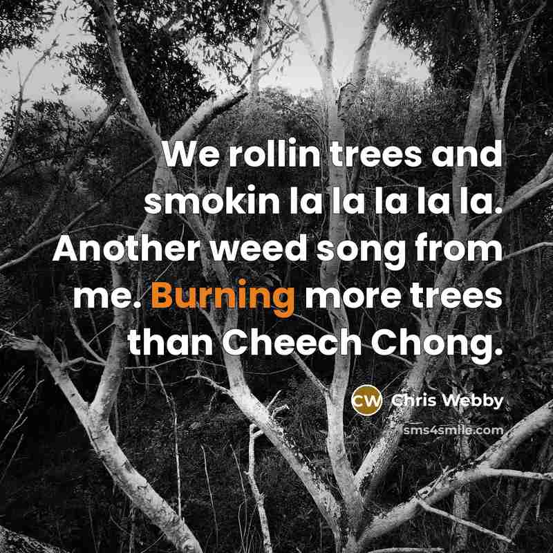 “We rollin trees and smokin la la la la la. Another weed song from me. Burning more trees than Cheech Chong.” quote by Chris Webby