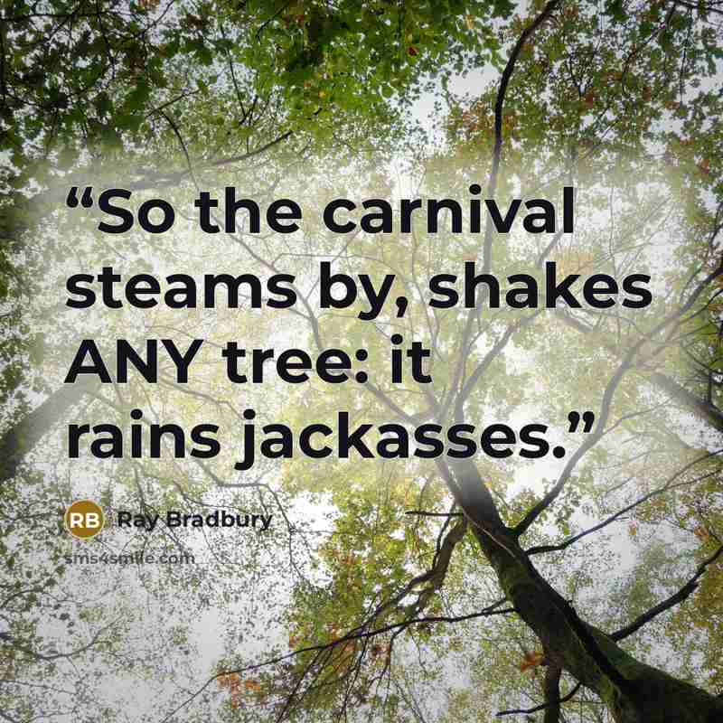 “So the carnival steams by, shakes ANY tree: it rains jackasses.” quote by Ray Bradbury