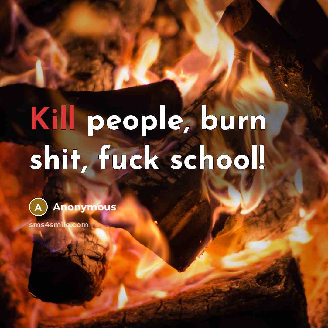 “Kill people, burn shit, fuck school!” quote by Anonymous