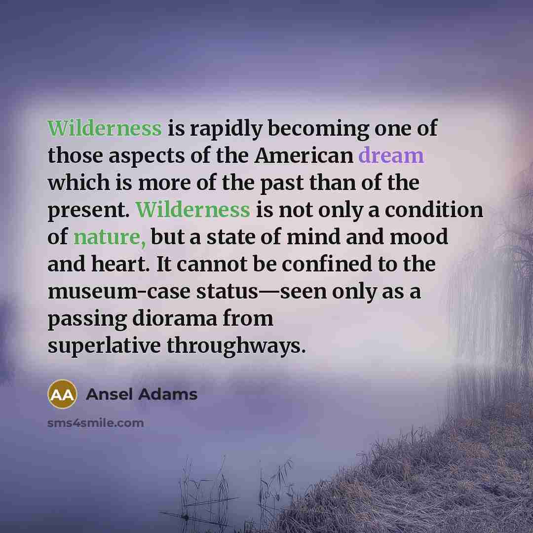 “Wilderness is rapidly becoming one of those aspects of the American dream which is more of the past than of the present. Wilderness is not only a condition of nature, but a state of mind and mood and heart. It cannot be confined to the museum-case status—seen only as a passing diorama from…” quote by Ansel Adams
